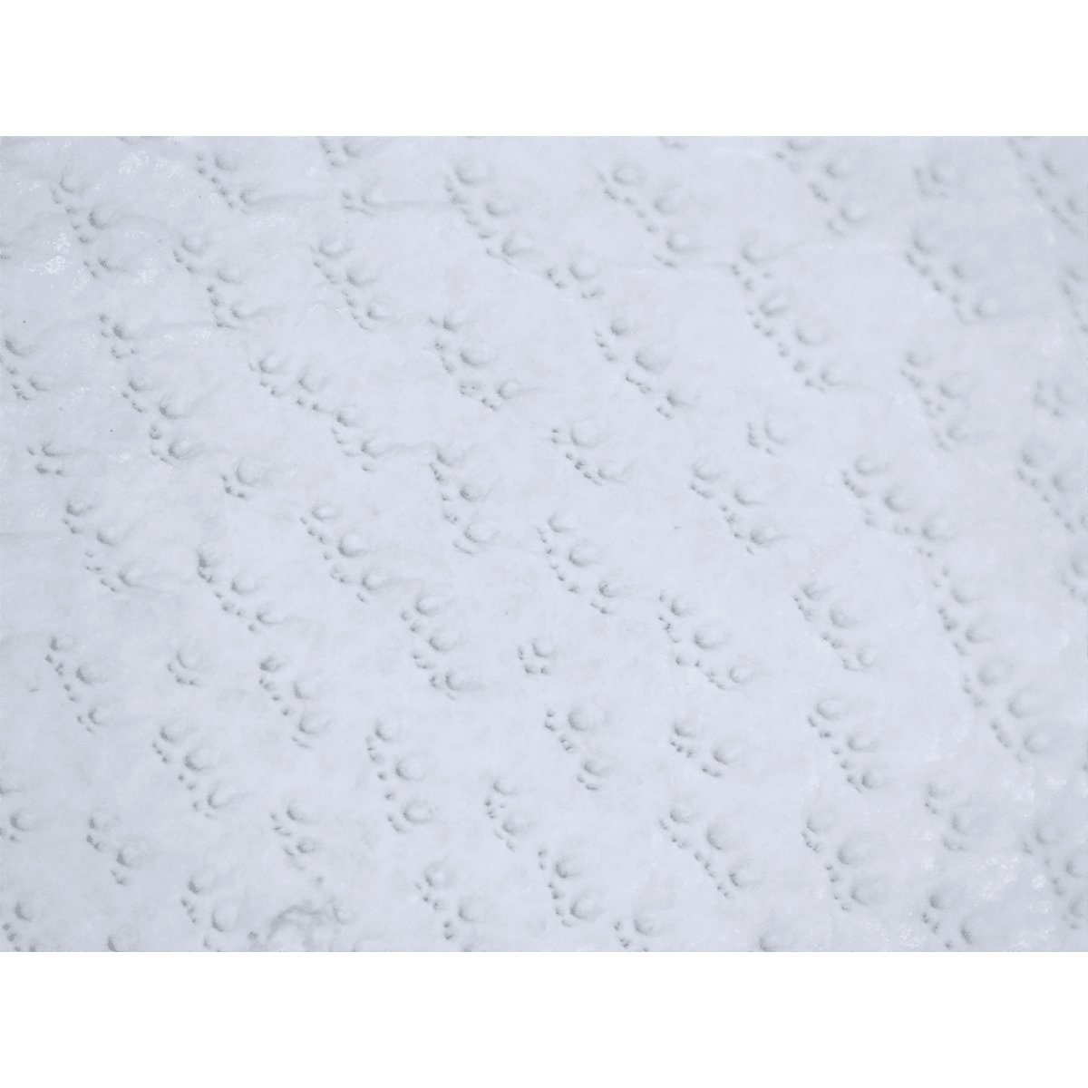 Cut, Abrasion, and Puncture Resistant Grain Goatskin Insulated Gloves - CR3900INT