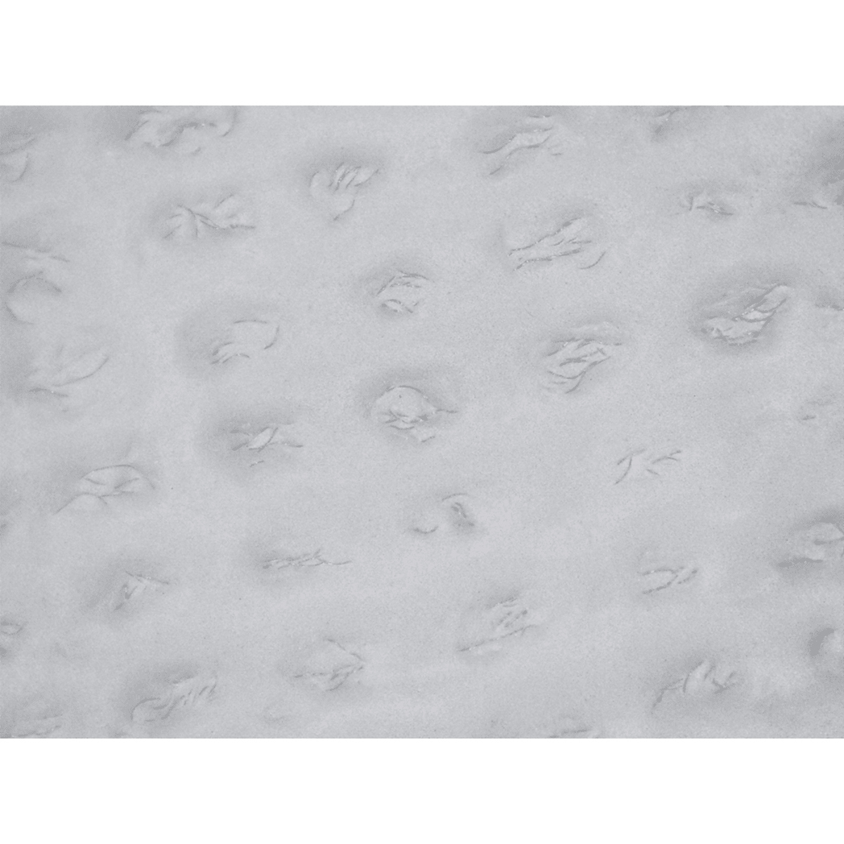 Economy Polyurethane Coated Cut Resistant Gloves Made with High-Density Nylon - PUG-006