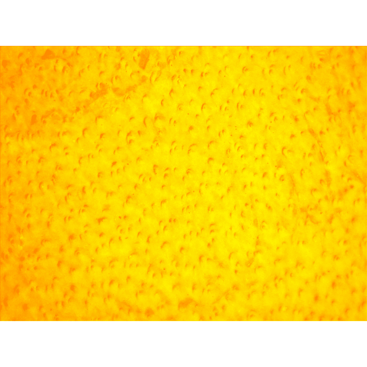 Top-Grade Chrome-Free Cowhide Leather Drivers Gloves with Reinforced Palm Patch - 3000