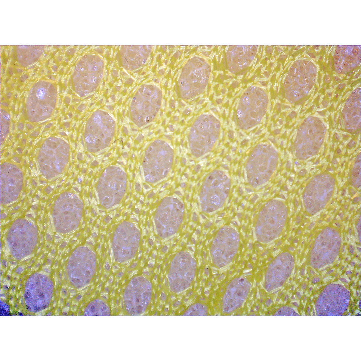 FrogWear® Cold Protection FDA Compliant Extreme Cold Anti-Freeze Nitrile Chemical Handling Gloves - 8450