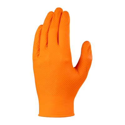 Globus Group  Single Use Gloves