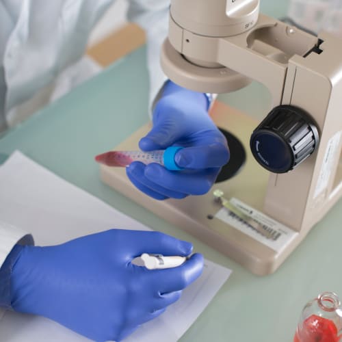 Globus Group | Showa 7545 EBT Chemical Protection Gloves | Globus