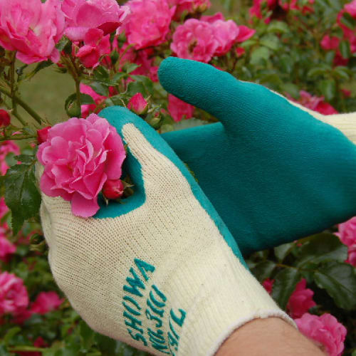 310 Green Glove mobile image