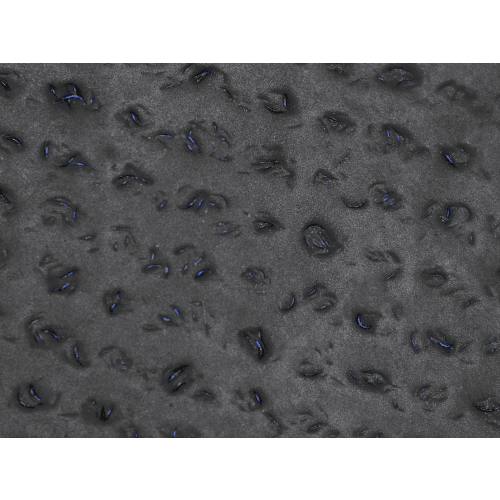 Samurai Glove® Cut Resistant Tuffalene® UHMWPE Touchscreen Gloves with Recycled rPET Fiber - PUG-618