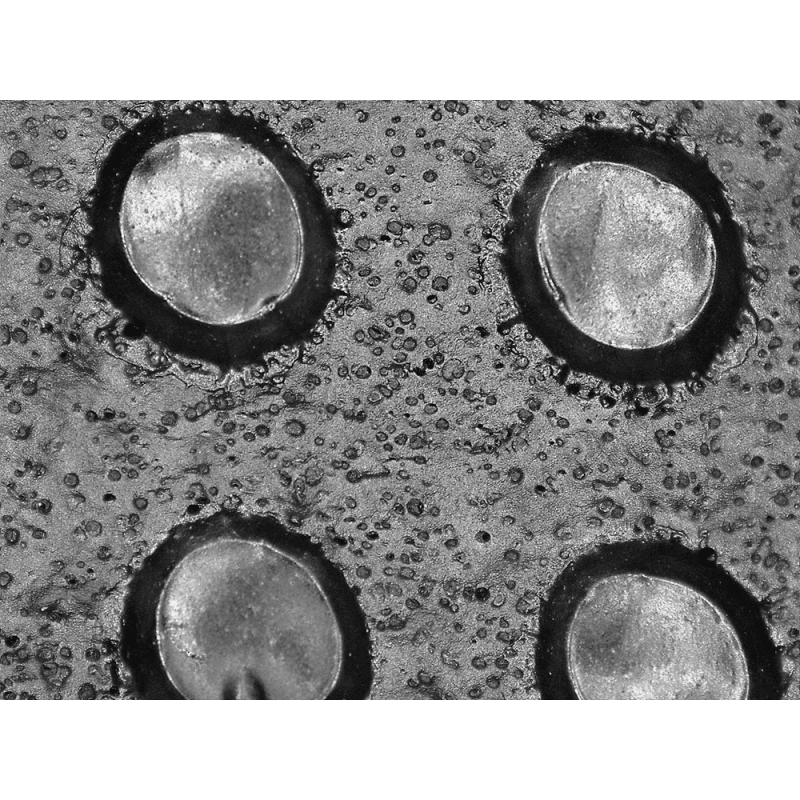 Tsunami Grip® Lightweight New Foam Technology Nitrile Three-Quarter Coated Nylon/Spandex Dotted Gloves with Cut, Abrasion, and Puncture Resistance - 530NFTD