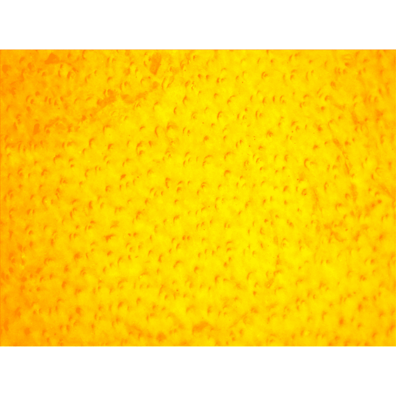 Top-Grade Chrome-Free Cowhide Leather Drivers Gloves with Reinforced Palm Patch - 3000