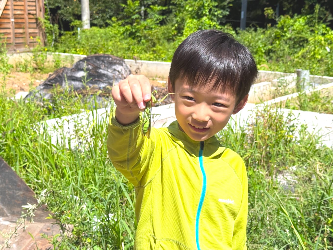 長野・塩尻の自然の中でカマキリを捕まえる子ども｜自然体験と英語学習を組み合わせた国内英語キャンプ