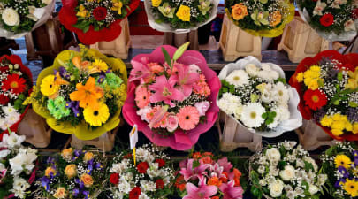 Floristería La Jara a domicilio en Sanlúcar de Barrameda | Pide Online con  Glovo