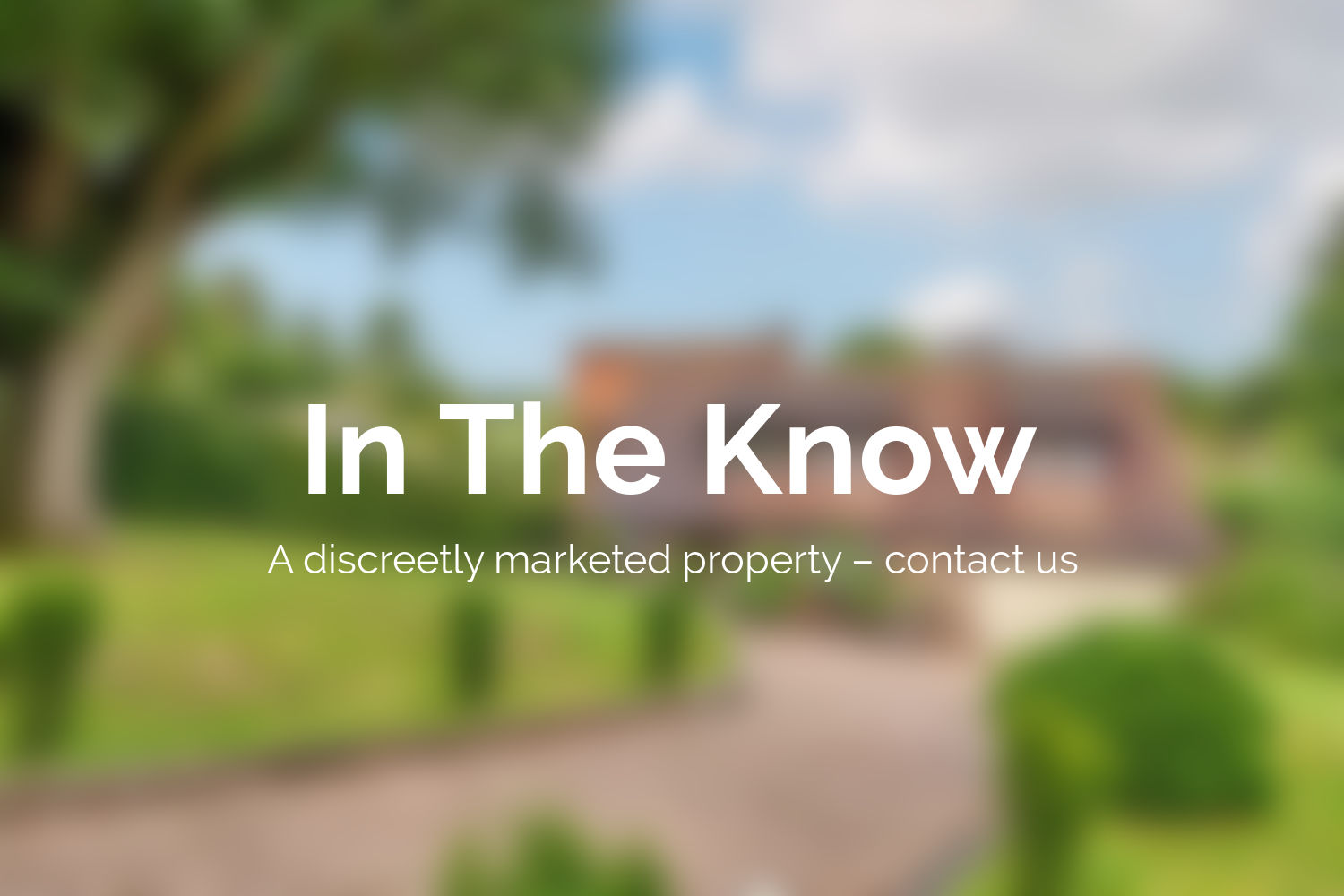In The Know Property image