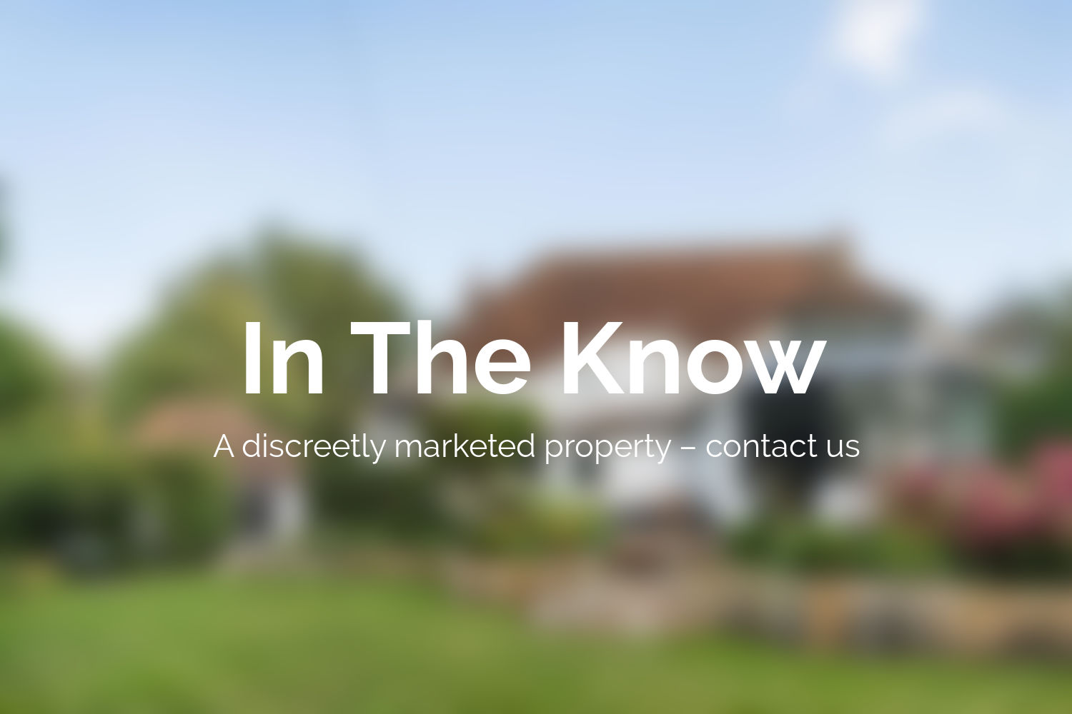 In The Know Property image