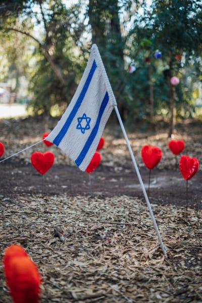 תמונה 12 מגלריה 2024