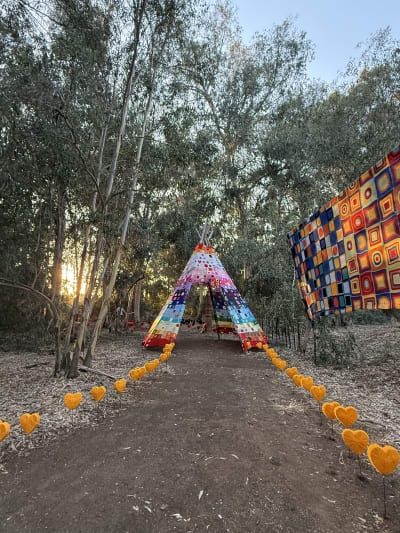 תמונה 2 מגלריה 2025