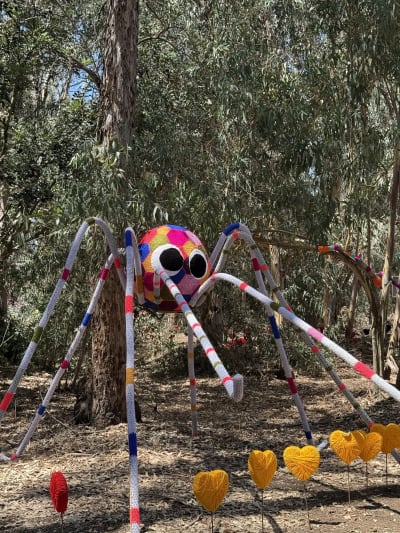 תמונה 4 מגלריה 2025