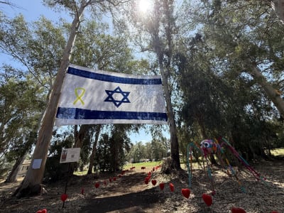 תמונה 5 מגלריה 2025