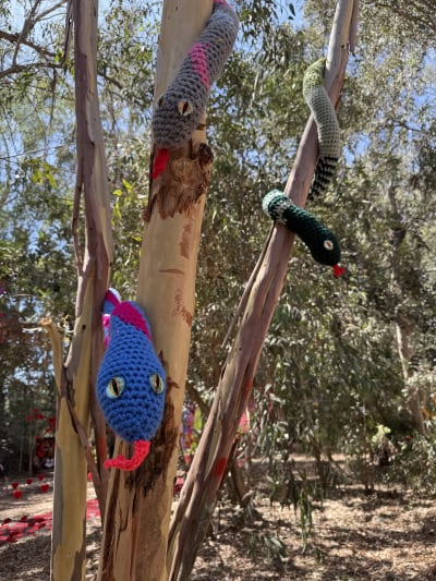 תמונה 6 מגלריה 2025