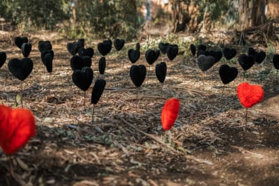 תמונה 17 מגלריה 2025