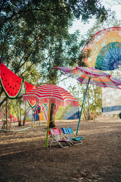 תמונה 11 מגלריה 2026