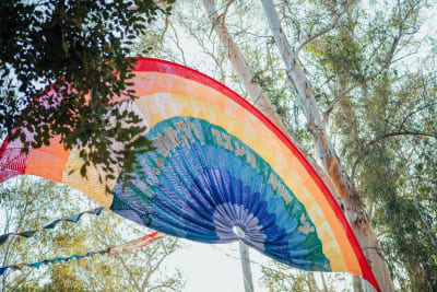 תמונה 13 מגלריה 2026