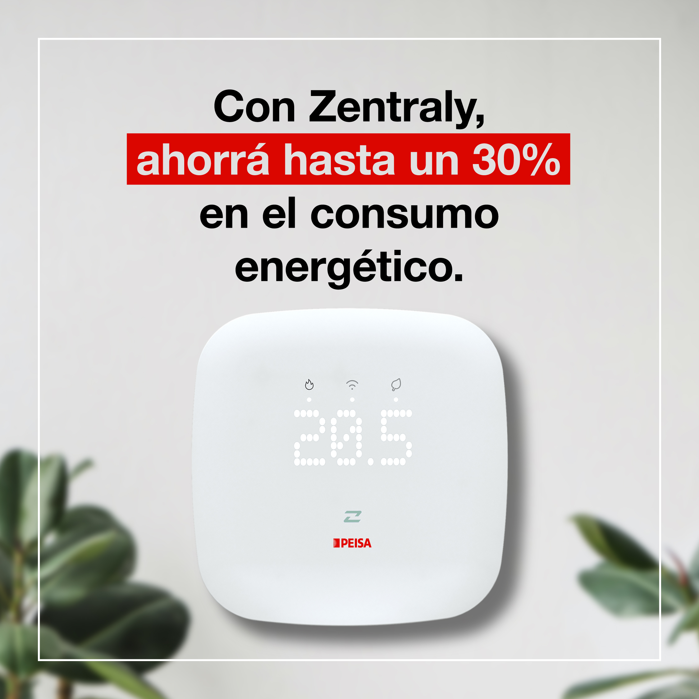 Termostato WIFI Zentraly PEISA