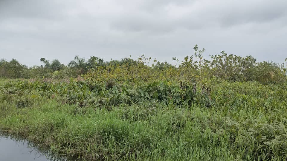 Land for Sale in Iwerekun, Awoyaya
