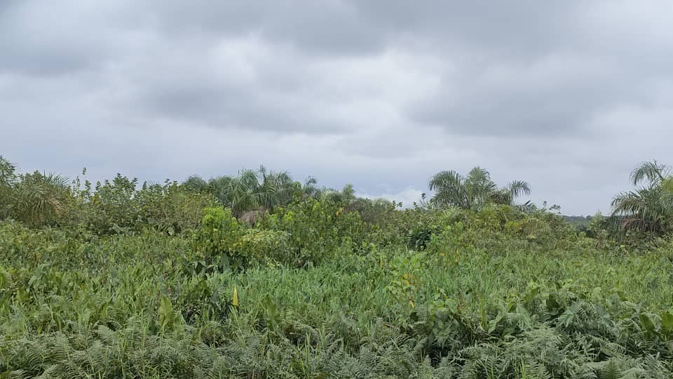 Land for Sale in Iwerekun, Awoyaya