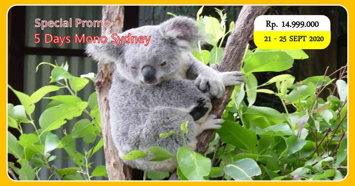 5D Mono Sydney 21 - 25 September 2020