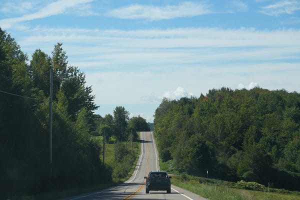 Leisurely Drive