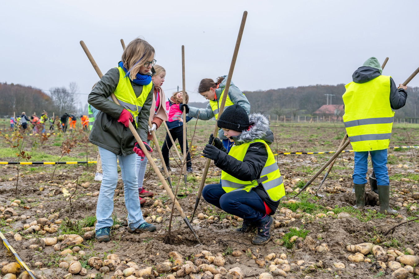 PERSBERICHT: HLN: Basisscholen bijten spits af van bosuitbreiding: kinderen planten massaal boompjes