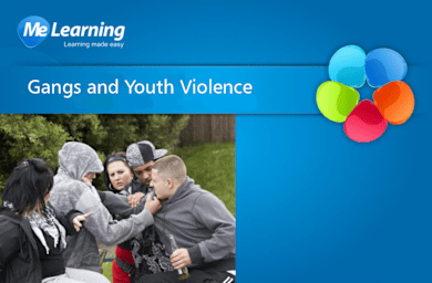 Gangs and Youth Violence