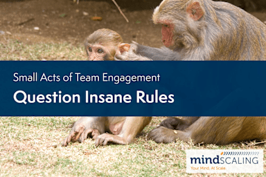 Small Acts of Team Engagement: Question Insane Rules