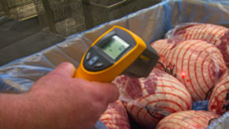 Food Safety - Food Handling Controls