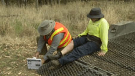 Outdoor Worker Safety - Snake and Spider Bites