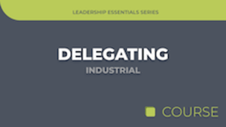 Delegating - Industrial Edition