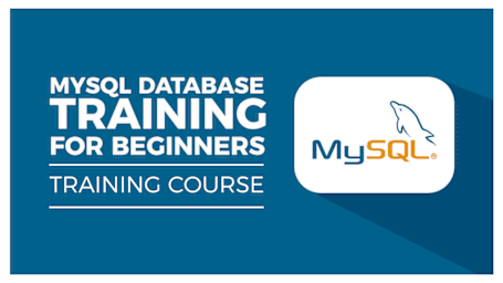 MySQL