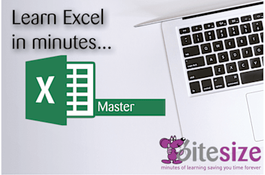 MS Excel 2016 - Master