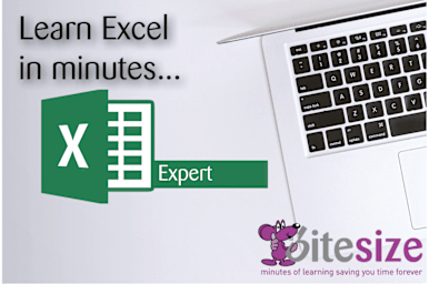 MS Excel 2016 - Expert