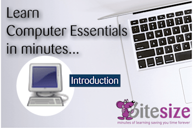 Computer Essentials