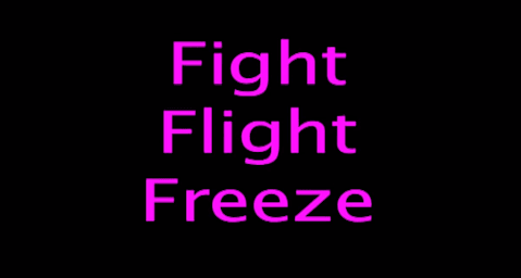 1 Minute Stress Response (Fight, Flight, Freeze)