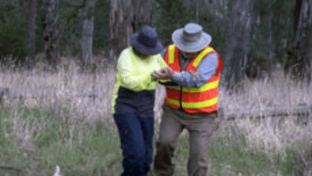 Outdoor Worker Safety - Snake and Spider Bites