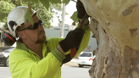 Outdoor Worker Safety - Hand Tool Safety