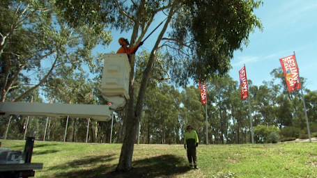 Outdoor Worker Safety - Elevated Work Platforms