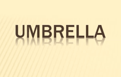 Umbrella Liability