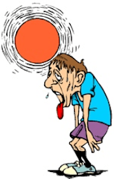 Heat Stress & Illness Safety