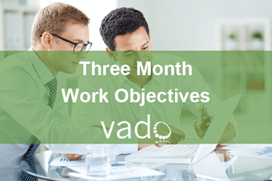 Three Month Work Objectives