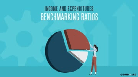 Income and Expenditures: 04. Benchmarking Ratios