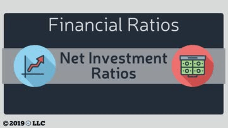 Financial Ratios: 03. Net Investment Ratios