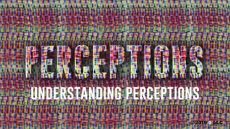 Perceptions: Understanding Perceptions