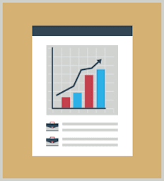 Business Analysis Overview