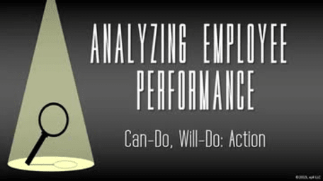 Analyzing Employee Performance: Can-Do, Will-Do: Actions