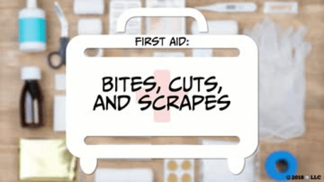 First Aid: 04. Bites, Cuts, and Scrapes